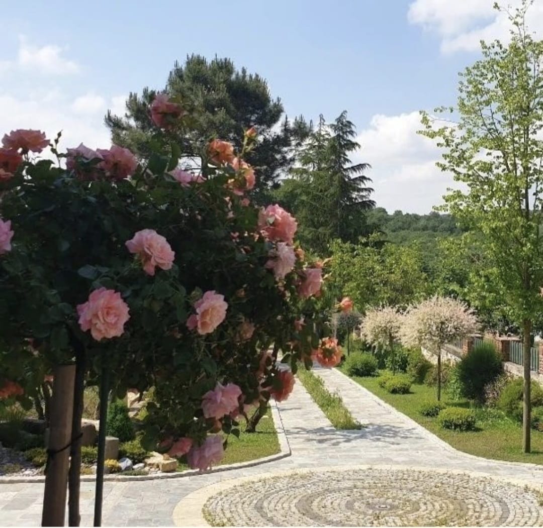 WhatsApp Görsel 2023 10 05 saat 12.48.00 54da4ec8